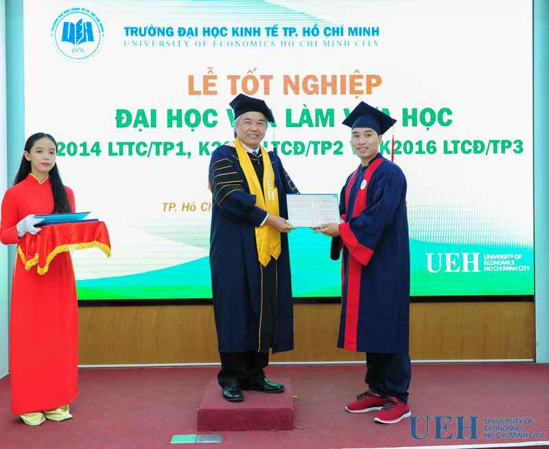 cá cược thể thao hul city